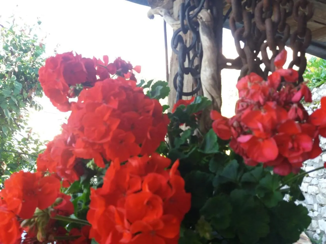 B&B Al Castel Padola 0*,  Italy